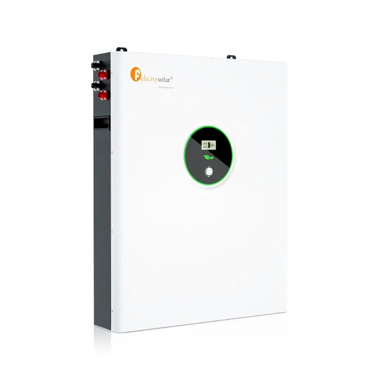 Felicity 10KWh LPBA48200 LiFePO4 pil