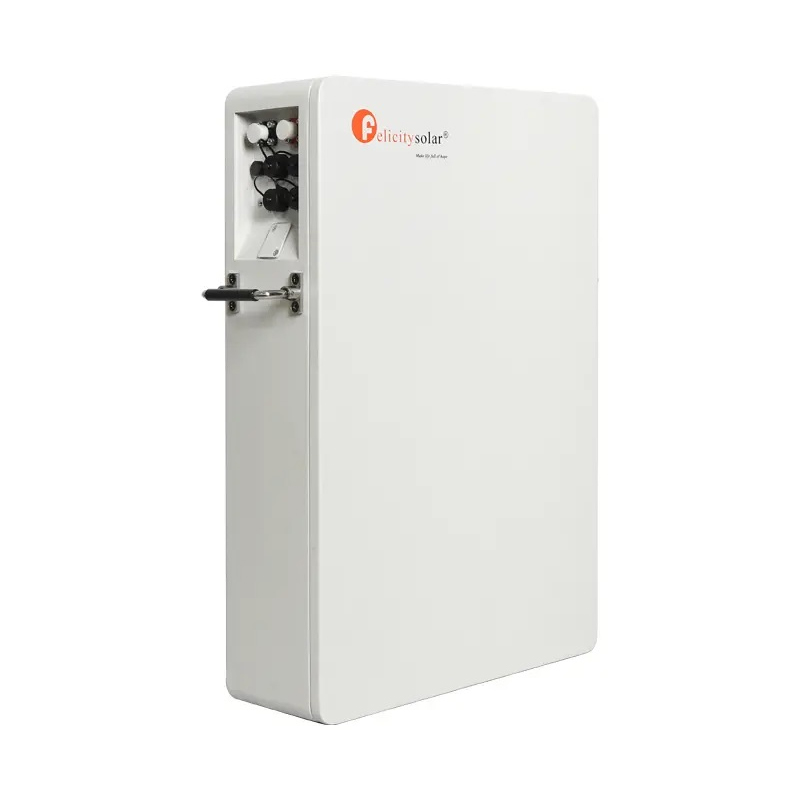 Felicity 5KWh LPBA48100-OL LiFePO4 pil